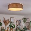 Antillo ceiling light matt nickel, 3-light sources