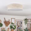 Antillo ceiling light matt nickel, 3-light sources