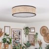 Antillo ceiling light matt nickel, 3-light sources