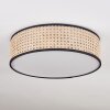 Antillo ceiling light matt nickel, 3-light sources