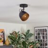 Bjedstrup ceiling light, ceiling spotlight, wall spotlight black, 1-light source