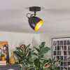 Bjedstrup ceiling light, ceiling spotlight, wall spotlight black, 1-light source