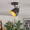 Bjedstrup ceiling light, ceiling spotlight, wall spotlight black, 1-light source