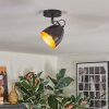 Bjedstrup ceiling light, ceiling spotlight, wall spotlight black, 1-light source