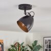 Bjedstrup ceiling light, ceiling spotlight, wall spotlight black, 1-light source