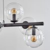 Gastor hanging light, globe light, pendant light clear, 8-light sources