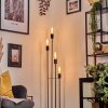 Limmingen floor lamp Light wood, black, 4-light sources