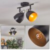 Bjedstrup ceiling light, ceiling spotlight black, 2-light sources