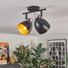 Bjedstrup ceiling light, ceiling spotlight black, 2-light sources