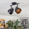 Bjedstrup ceiling light, ceiling spotlight black, 2-light sources