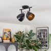 Bjedstrup ceiling light, ceiling spotlight black, 2-light sources