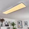 Nexo Ceiling Light LED white, 1-light source, Remote control