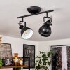 Tita Ceiling Light black, 2-light sources