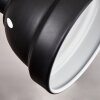 Tita Ceiling Light black, 2-light sources