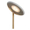 Lucide lights ZENITH floor lamp LED brass, 1-light source