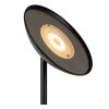 Lucide lights ZENITH floor lamp LED black, 1-light source