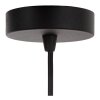 Lucide lights TRIBUTE pendant light black, 1-light source