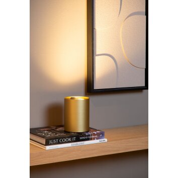 Lucide lights TUBE table lamp LED gold, 1-light source