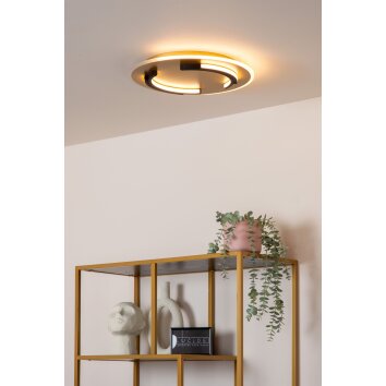 Lucide lights ANDREAS ceiling light LED gold, 1-light source