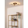 Lucide lights ANDREAS ceiling light LED gold, 1-light source