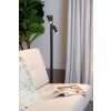 Lucide lights ANTRIM floor lamp LED black, 2-light sources