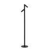 Lucide lights ANTRIM floor lamp LED black, 2-light sources