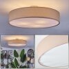 Foggia ceiling light matt nickel, 3-light sources