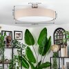 Foggia ceiling light matt nickel, 3-light sources