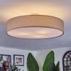 Foggia ceiling light matt nickel, 3-light sources