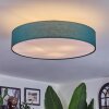 Foggia ceiling light matt nickel, 3-light sources