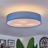 Foggia ceiling light matt nickel, 3-light sources