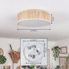 Antillo ceiling light beige, Ecru, white, 3-light sources