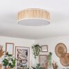 Antillo ceiling light beige, Ecru, white, 3-light sources