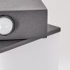 Swanek outdoor wall light, wall light LED anthracite, 1-light source, Motion sensor