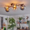 Gastor ceiling light, globe light Amber, clear, Smoke-coloured, 5-light sources