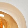 Gastor ceiling light, globe light Amber, clear, Smoke-coloured, 5-light sources