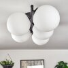 Gastor ceiling light, globe light white, 5-light sources