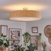 Foggia ceiling light matt nickel, 3-light sources