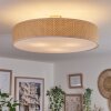 Foggia ceiling light matt nickel, 3-light sources