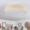 Foggia ceiling light matt nickel, 3-light sources