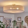 Foggia ceiling light matt nickel, 3-light sources