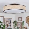 Foggia ceiling light matt nickel, 3-light sources