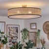 Foggia ceiling light matt nickel, 3-light sources