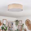 Antillo ceiling light matt nickel, 3-light sources