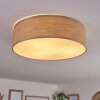 Antillo ceiling light matt nickel, 3-light sources