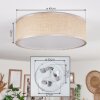 Antillo ceiling light matt nickel, 3-light sources