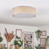 Antillo ceiling light matt nickel, 3-light sources