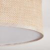 Antillo ceiling light matt nickel, 3-light sources