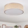 Foggia ceiling light matt nickel, 3-light sources