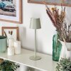 Allen Outdoor table lamp, table lamp LED grey, green, 1-light source